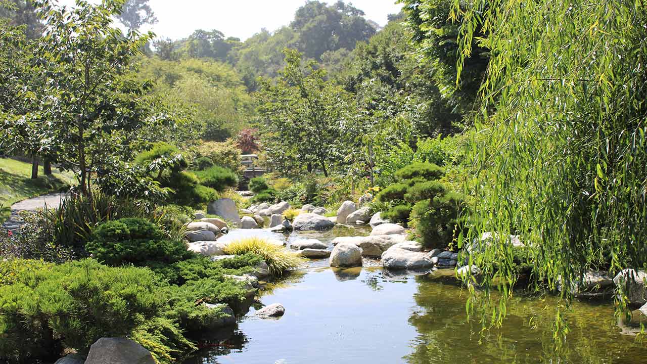 japanese friendship garden