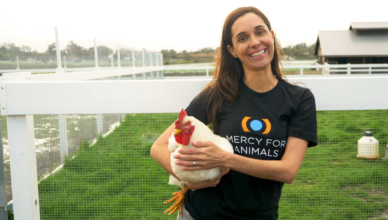 Leah Garces - finding solutions to factory farming in her book Transfarmations