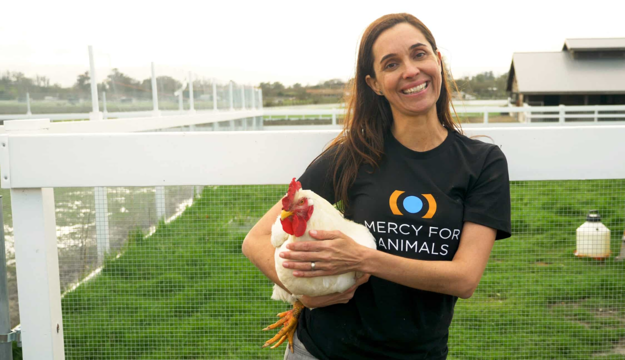 Leah Garces - finding solutions to factory farming in her book Transfarmations