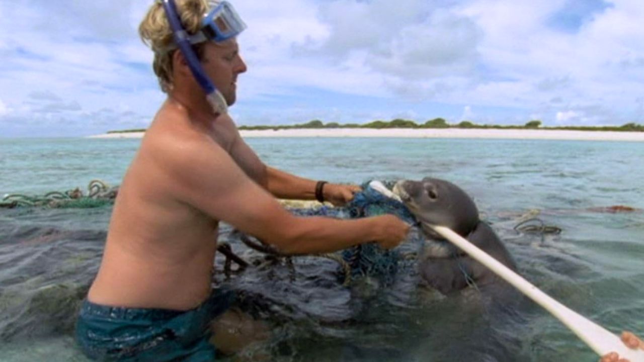 Environmental Documentary: Plastic Ocean scene.