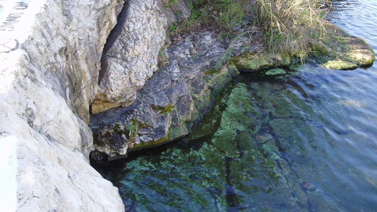 Barton Springs Main Spring