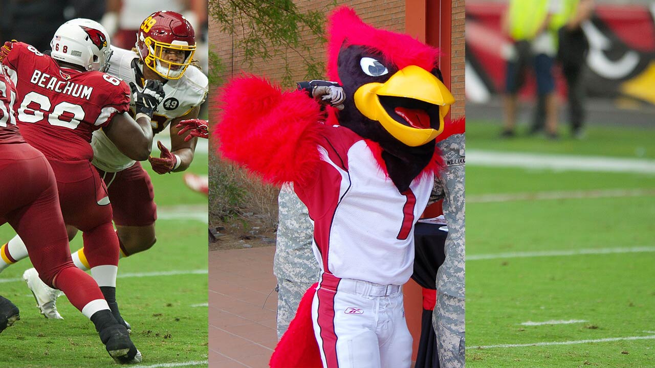 arizona cardinals big red mascot