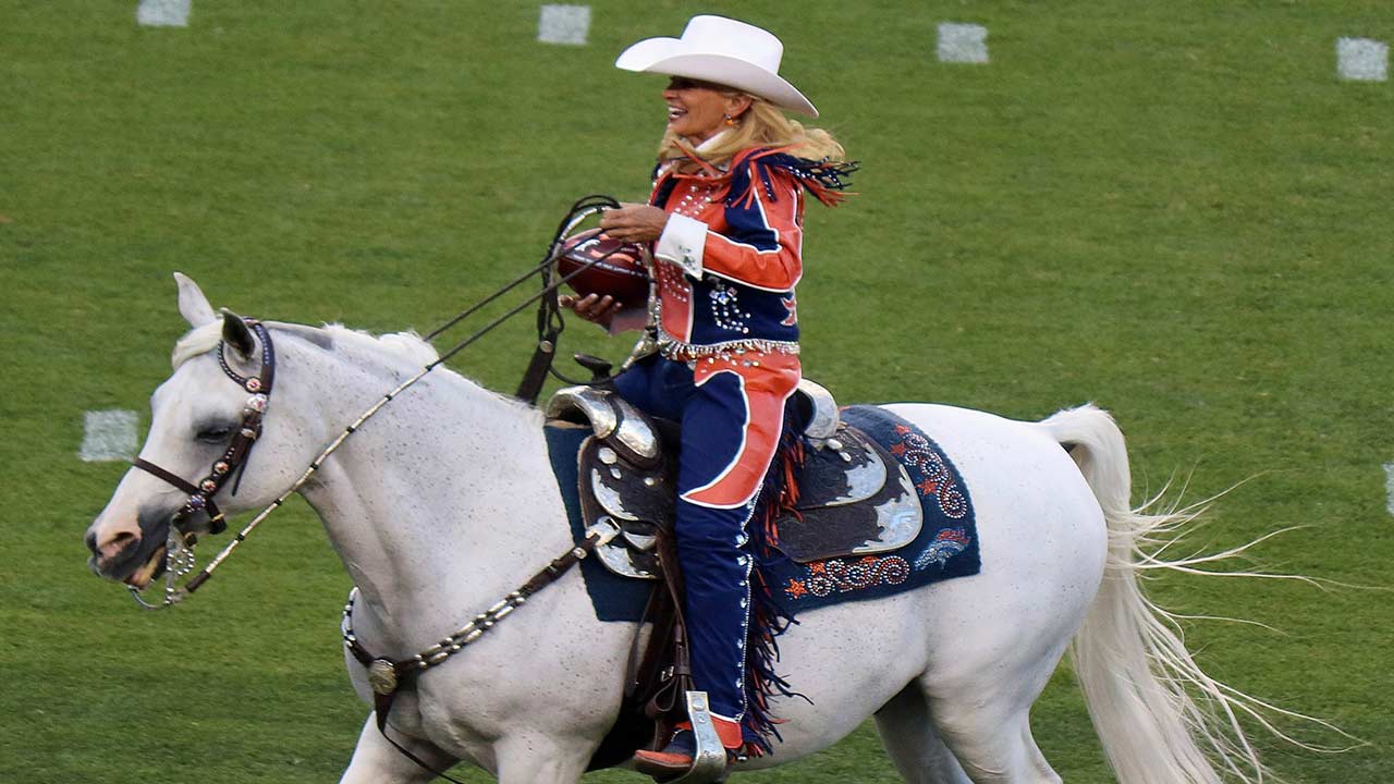 denver broncos mascot thunder