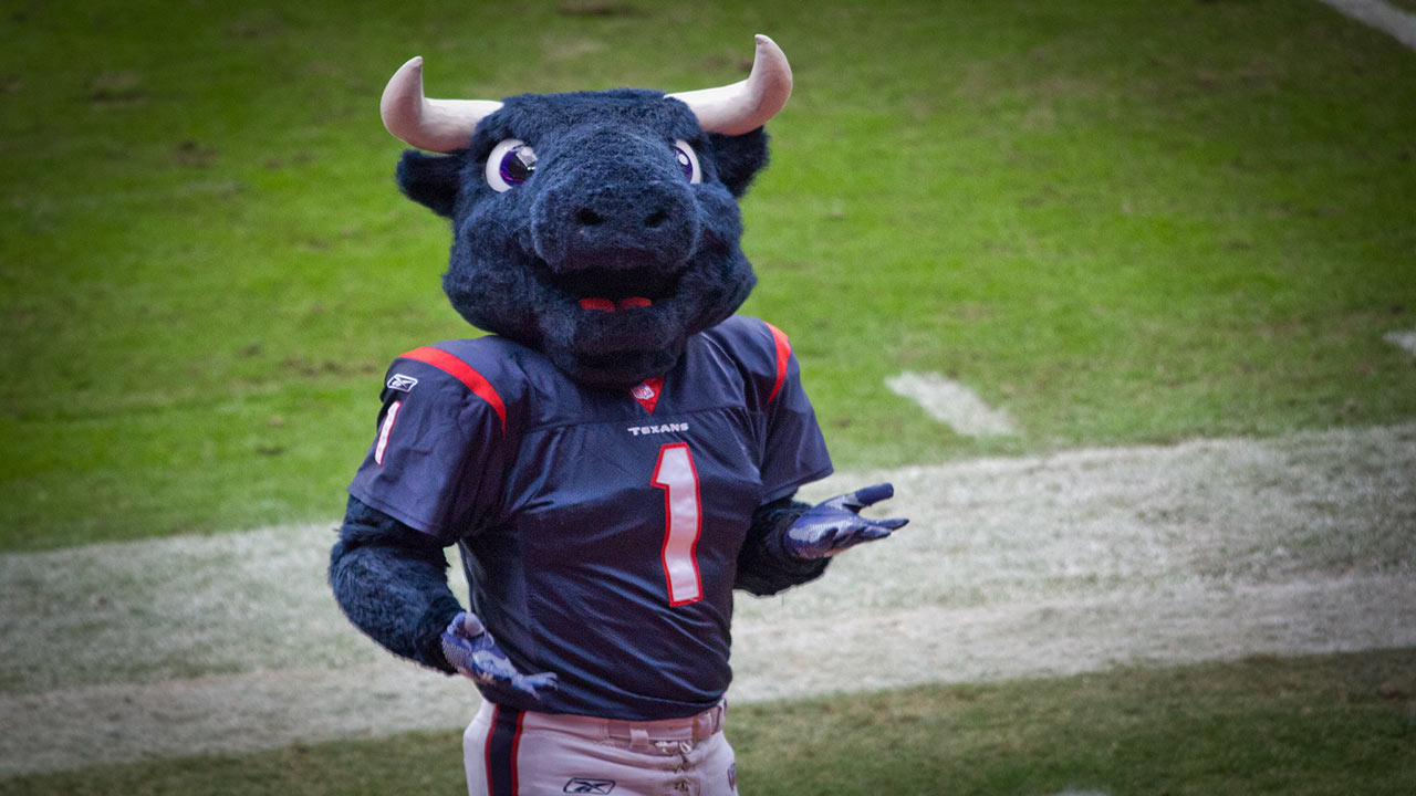 houston texans mascot toro