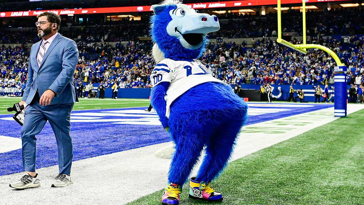 indianapolis colts mascot blue