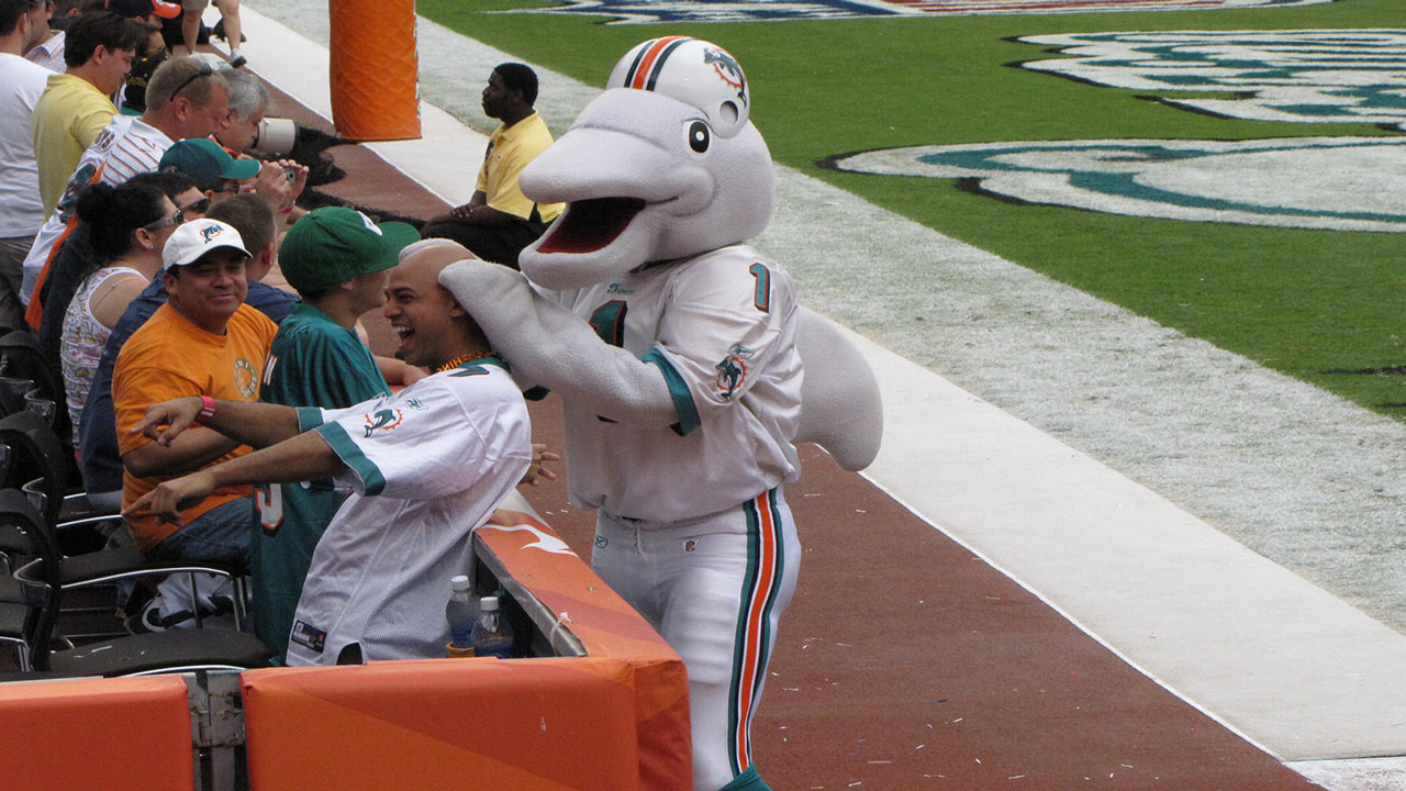 miami dolphins mascot