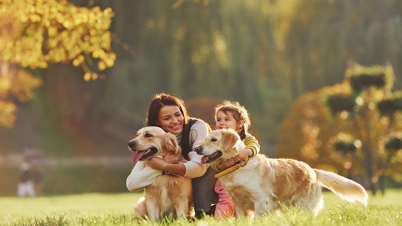 mother child with two dogs