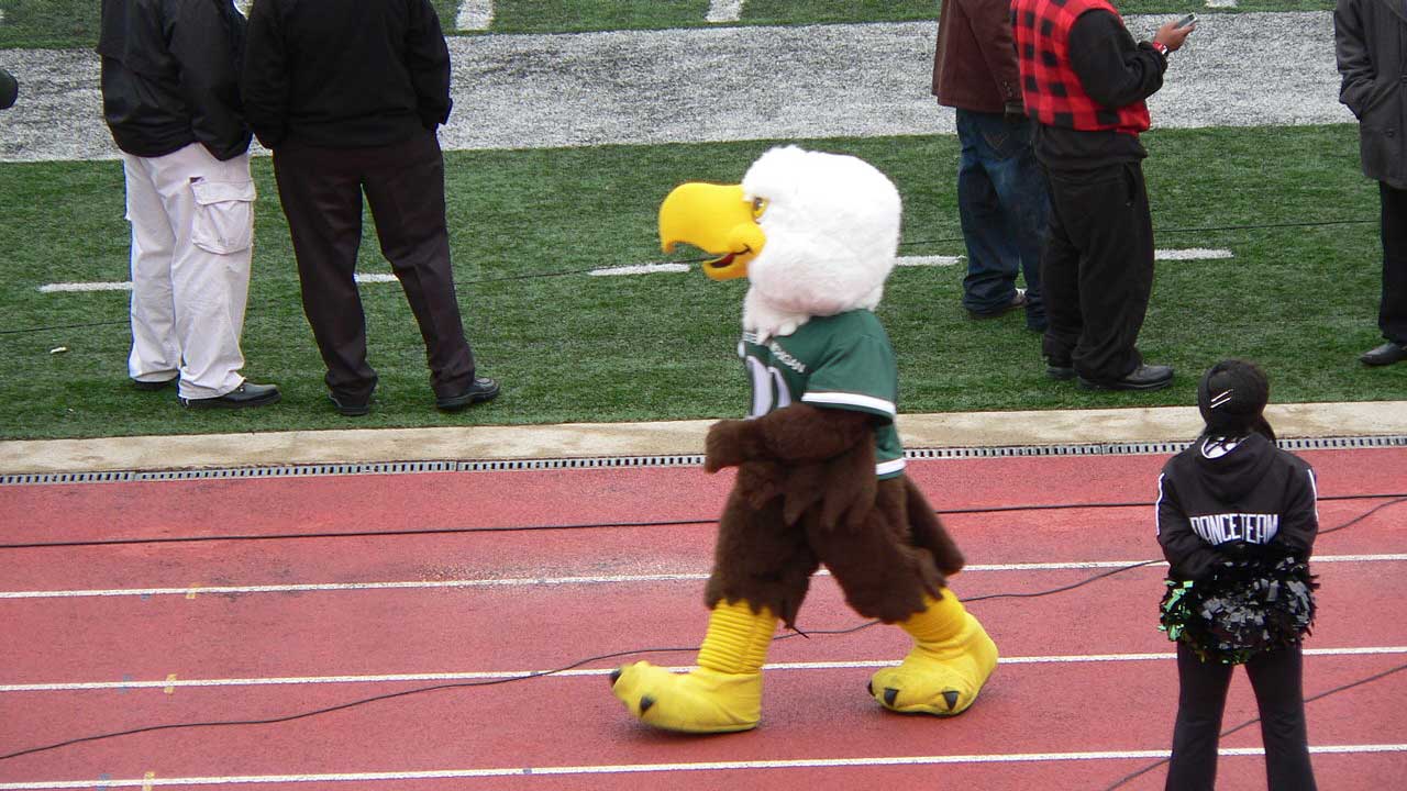 philadelphia eagles mascot