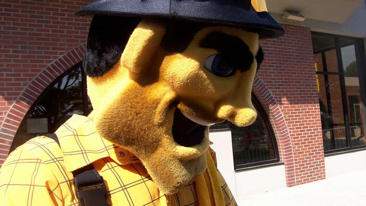 pittsburg steelers mascot