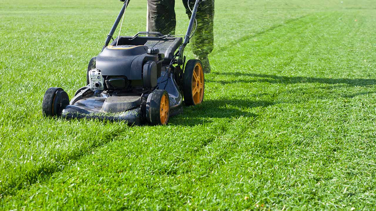 worker pushing lawnmower