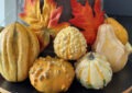 gourds on table with leaves