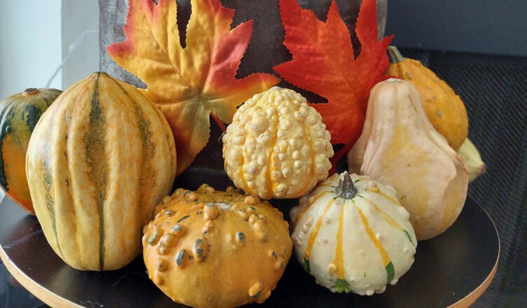 gourds on table with leaves