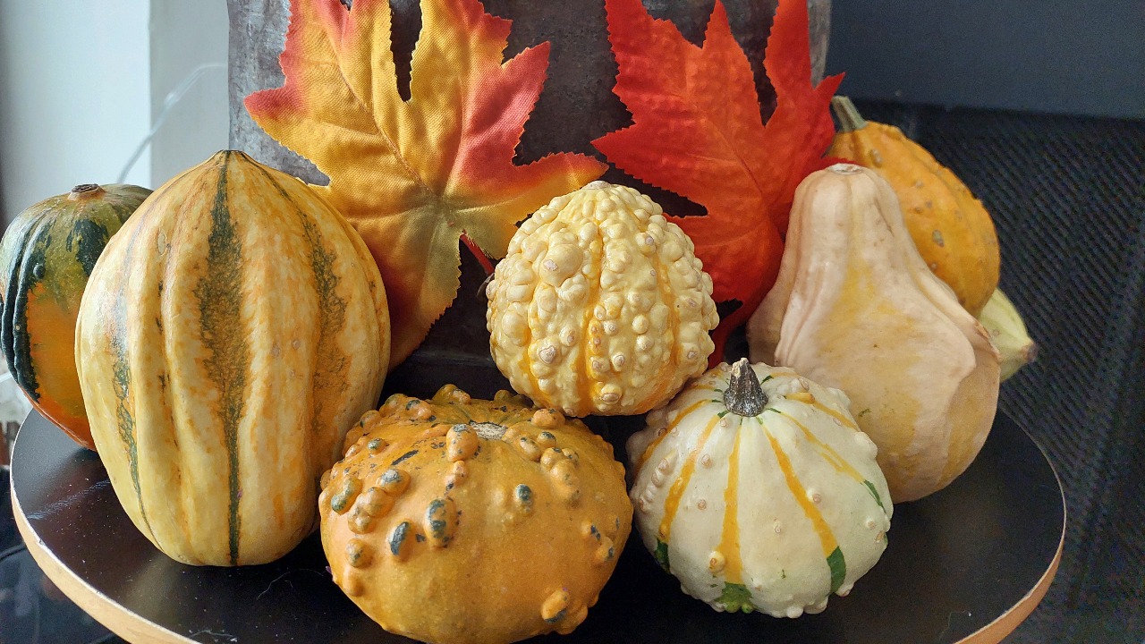 gourds on table with leaves